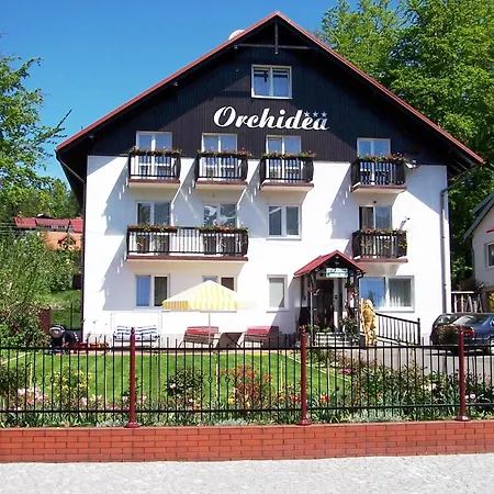 Orchidea-2